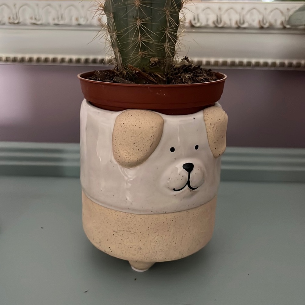 Super cute dog pot for plant!